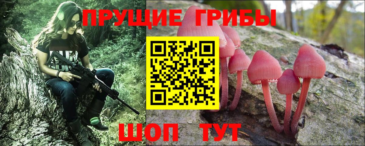 Галлюциногенные грибы Cubensis  Псилоцибиновые грибы Psilocybe  Богородицк  Вход с VPN 