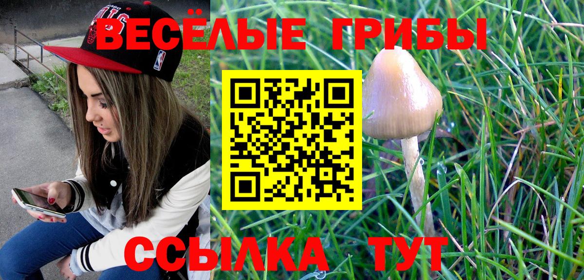 Галлюциногенные грибы GOLDEN TEACHER Богородицк